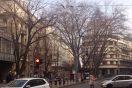 selidbe lazarevac